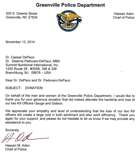 Greenville Police Department Final